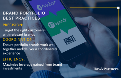 brand portfolio best practices thumbnail hawkpartners