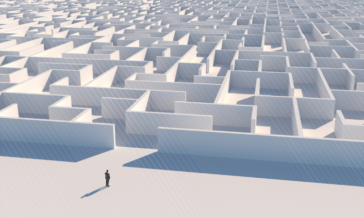 man standing in front of large maze